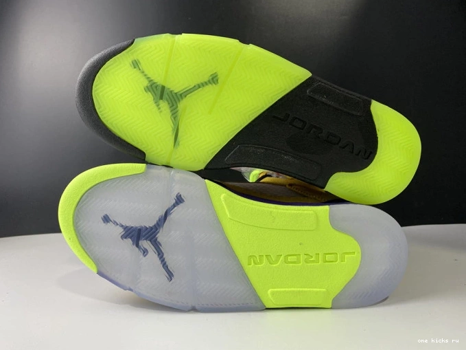 Chep Onekick 5 CZ5725-700 Jordan Retro What The 0710